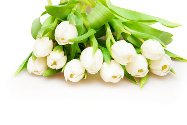 Similar image 164480