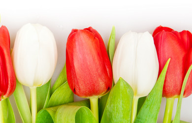 Similar image 164481