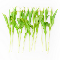 Similar image 164482