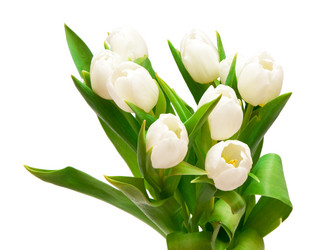 Similar image 164490