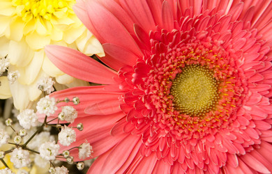 Similar image 164495