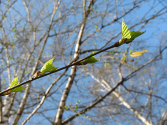 Similar image 164501