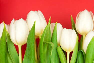 Similar image 164505