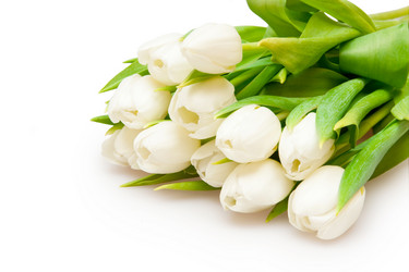 Similar image 164506