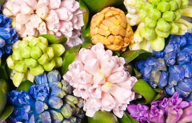 Similar image 164508