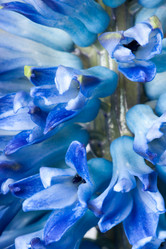 Similar image 164509