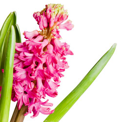 Similar image 164514