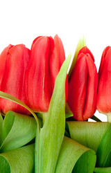 Similar image 164516