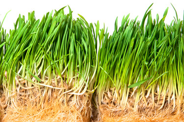 Similar image 164522