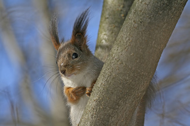 Similar image 164526