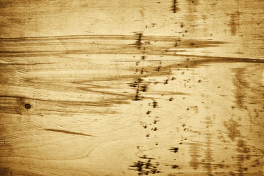 Similar image 164527