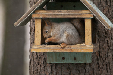 Similar image 164541