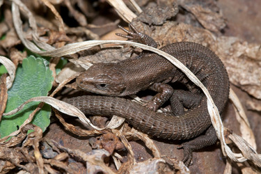 Similar image 164543