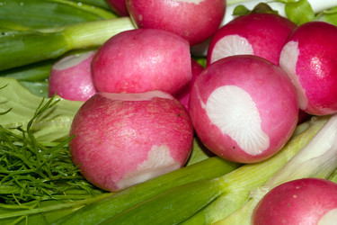 Similar image 164546