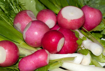 Similar image 164547