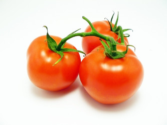 Similar image 164550