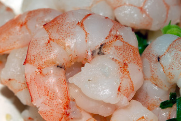 Similar image 164553