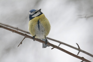 Similar image 164555