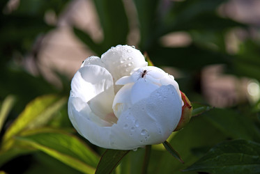 Similar image 164583