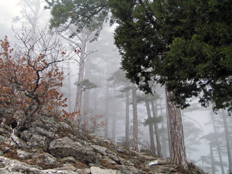 Similar image 164584