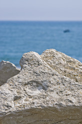 Similar image 164673