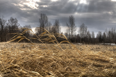 Similar image 164682