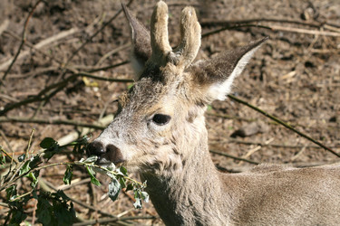 Similar image 164704