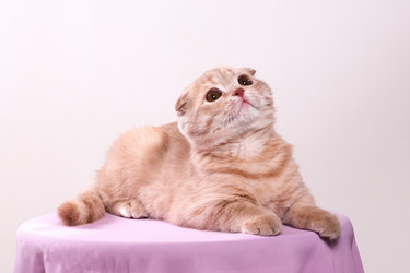 Similar image 164805