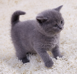 Similar image 164811