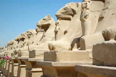 Similar image 164846