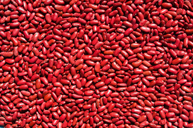 Similar image 164854