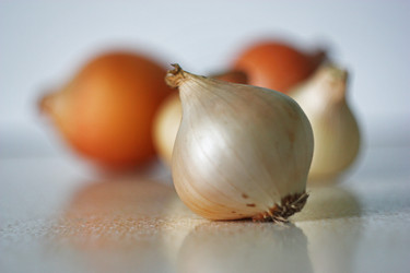 Similar image 164857