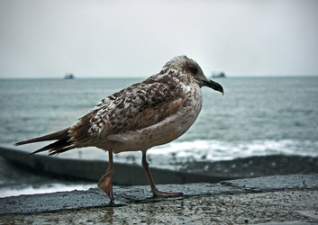 Similar image 164861