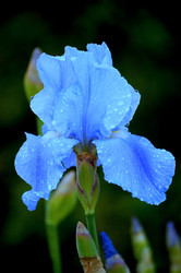 Similar image 164871