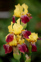 Similar image 164874