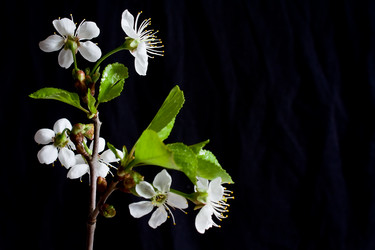 Similar image 164894