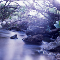 Similar image 164932