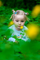 Similar image 164946