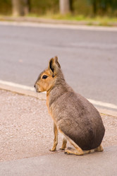 Similar image 164947