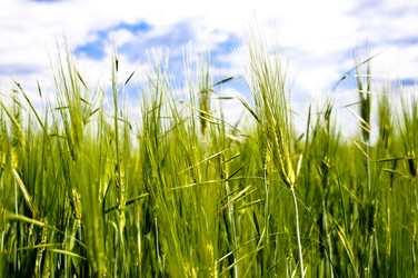 Similar image 164954