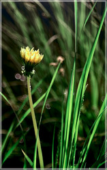 Similar image 164957