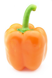 Similar image 164993