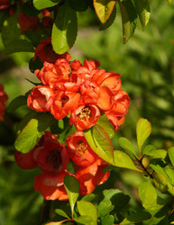 Similar image 165021