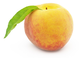 Similar image 165037