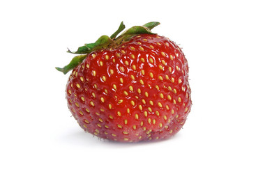 Similar image 165041