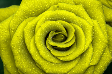 Similar image 165070