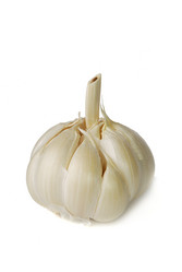 Similar image 165071