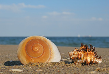 Similar image 165079