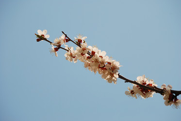 Similar image 165094