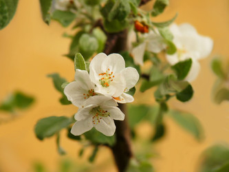 Similar image 165097